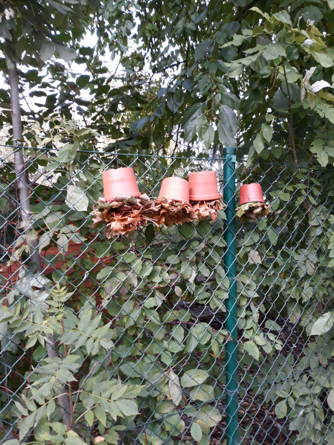 Více domečků na plotě 